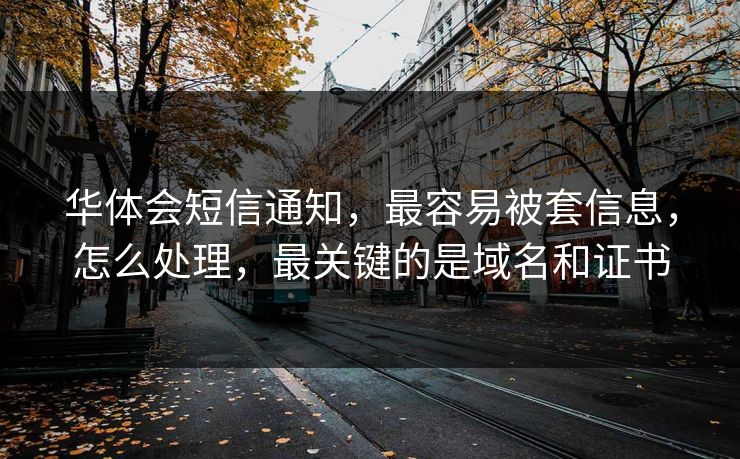 华体会短信通知，最容易被套信息，怎么处理，最关键的是域名和证书