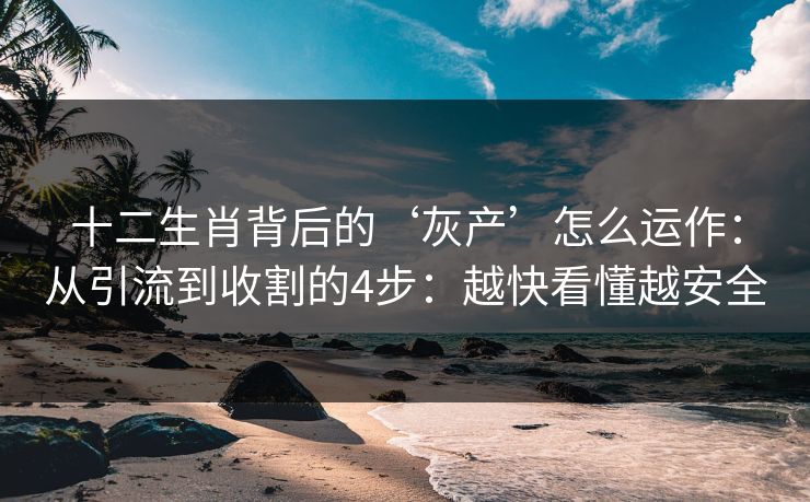 十二生肖背后的‘灰产’怎么运作：从引流到收割的4步：越快看懂越安全