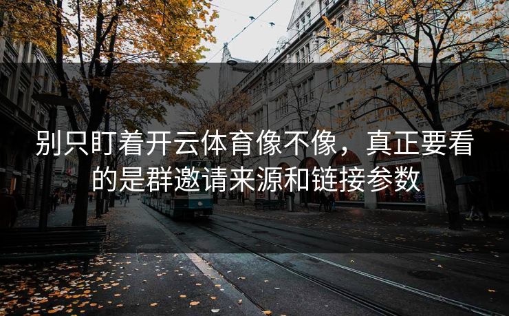 别只盯着开云体育像不像，真正要看的是群邀请来源和链接参数