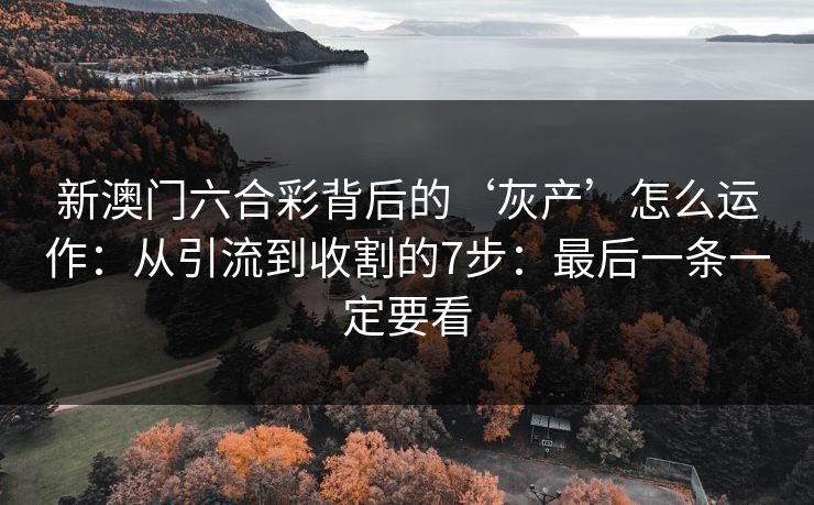 新澳门六合彩背后的‘灰产’怎么运作：从引流到收割的7步：最后一条一定要看