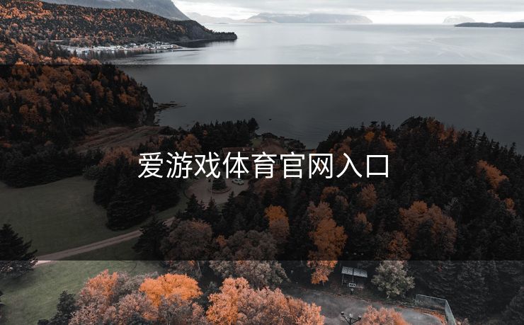 爱游戏体育官网入口
