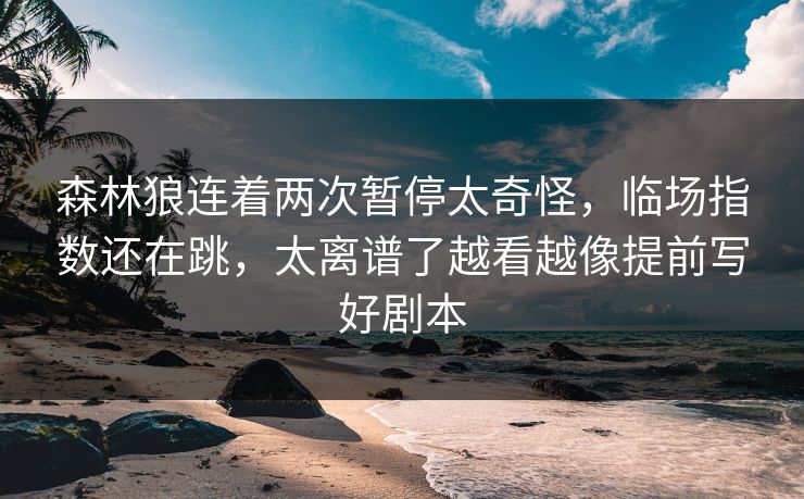 森林狼连着两次暂停太奇怪，临场指数还在跳，太离谱了越看越像提前写好剧本